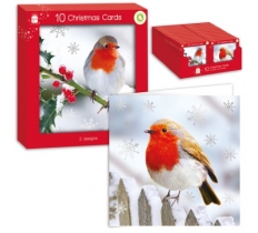 Square P-Graph Robin Card Pack Of 10