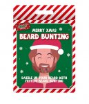 Merry Christmas Beard Bunting