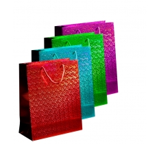 Holographic Bag Small