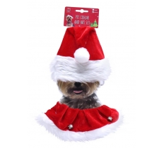 Pet Collar & Hat Set 2 Sizes