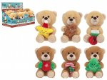 Christmas Bear With Cute Accessories