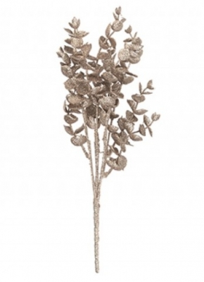 Winterwood Eucalyptus Bunch 12" Champagne