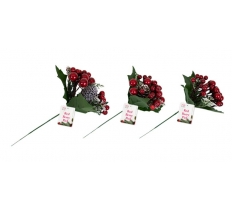 Christmas Red Berry Pick