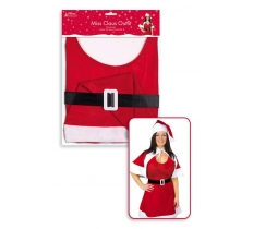 Miss Claus Costume