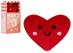 Little Things Mini Heart Plush In Matchbox