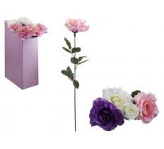 Luxury Rose ( Assorted Colours )
