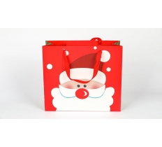 Santa Red Gift Bag Small 25X21X10cm