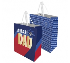 FATHER'S DAY LARGE GIFT BAG