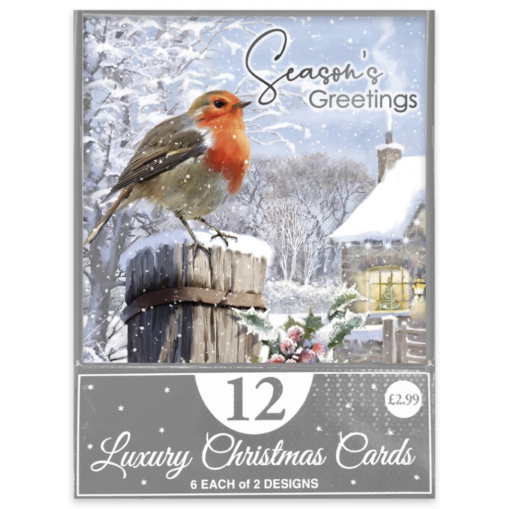 Christmas Traditional Robin Card 12pk - Click Image to Close