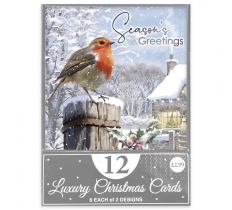 Christmas Traditional Robin Card 12pk