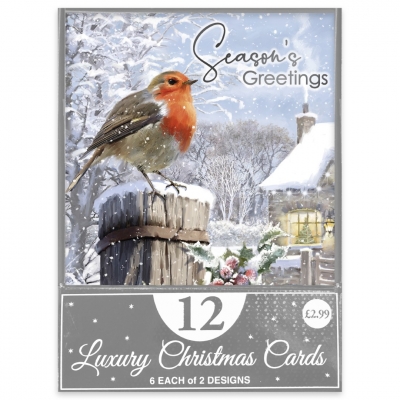 Christmas Traditional Robin Card 12pk