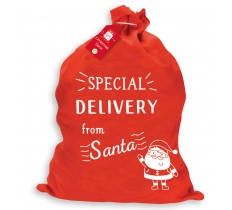 Christmas Basic Special Delivery Sack 60 X 50cm