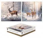 Cards Xmas 12 Square Boxed Cards Deers