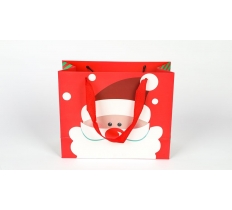 Santa Red Gift Bag Large 31X27X12cm