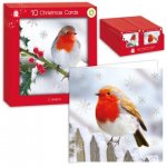 Square P-Graph Robin Card Pack Of 10
