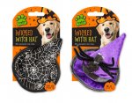 Halloween Pet Witches Hat