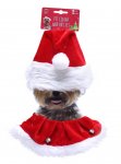 Pet Collar & Hat Set 2 Sizes