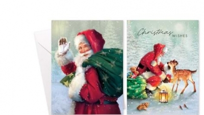 Santa Rectangle Christmas Cards 8 Pack