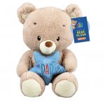 Daddy & Mini Me Plush Bear 30cm