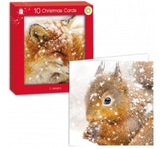 Square P-Woodland Anim Card Pack Of 10