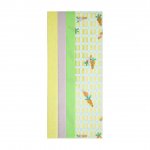 Cellophane Tissue 6pack