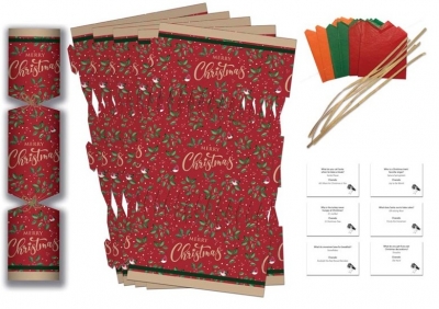 Christmas Party Make Your Own Cracker Kit 6 PK