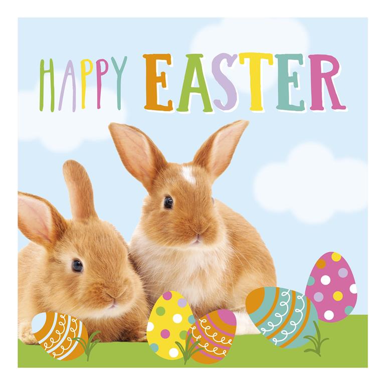 EASTER GREETING CARDS 10 PACK - Click Image to Close