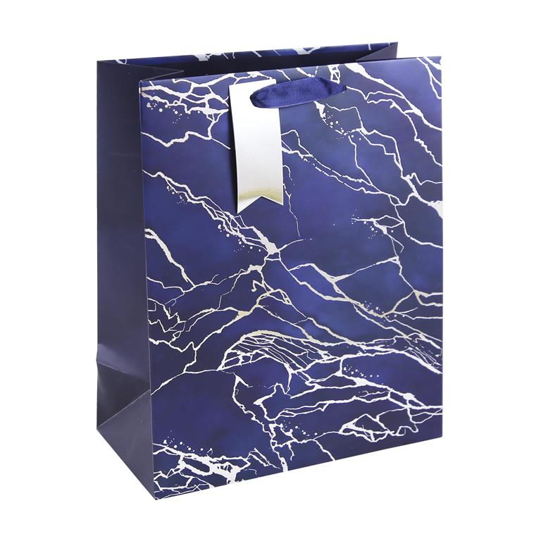 Blue Marble Large Bag - Click Image to Close