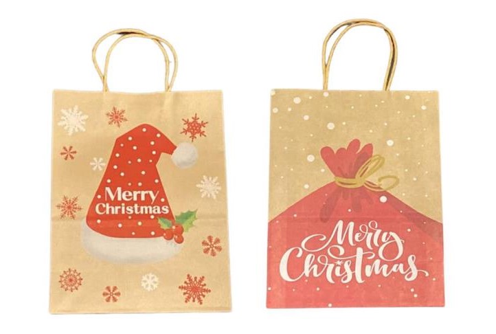 Medium Printed Paper Bag - Click Image to Close