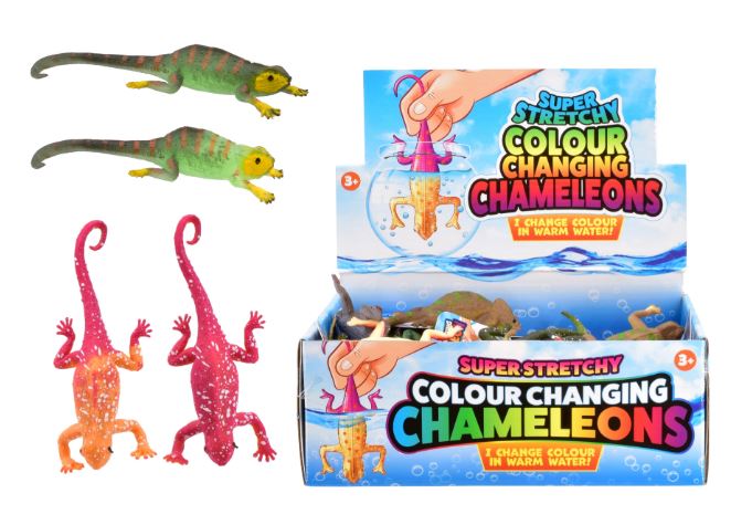 Colour Changing Lizards - Click Image to Close