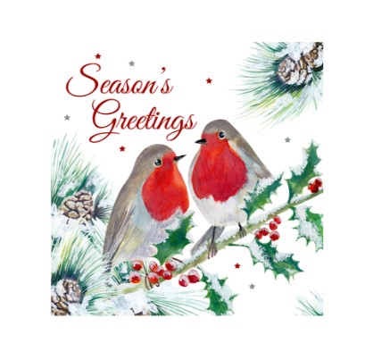 Christmas Robin 12 Pack White Kraft Cards - Click Image to Close