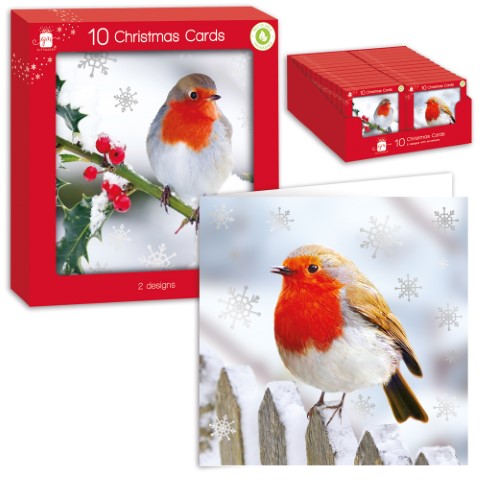 Square P-Graph Robin Card Pack Of 10 - Click Image to Close