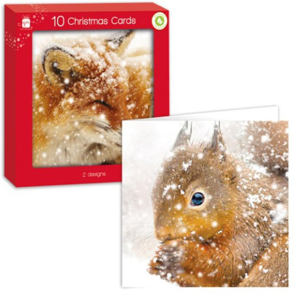 Square P-Woodland Anim Card Pack Of 10 - Click Image to Close